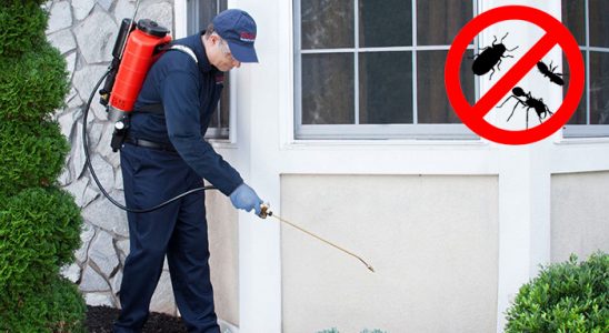 Bursa Haşere İlaçlama böcek ilaçlama ve haşere kontrolü — ilaclama-tr.com